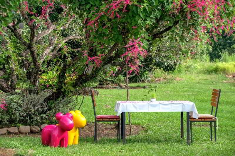 Aurora Resort Chiangdao Chiang Dao Ngoại thất bức ảnh